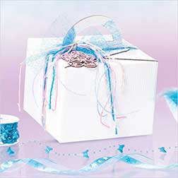 Allround - Box mit Tragegriff Allround - Box mit Tragegriff