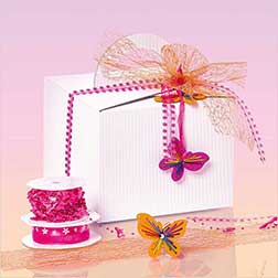 Allround - Box mit Tragegriff Allround - Box mit Tragegriff