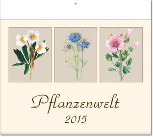 PFLANZENWELT L