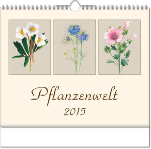 PFLANZENWELT L