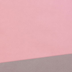 Bicolor