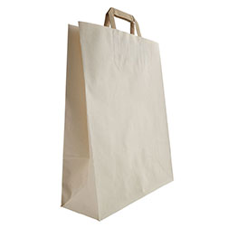 Papiertaschen Zuckerrohr Standard