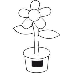 Flower power Flower power