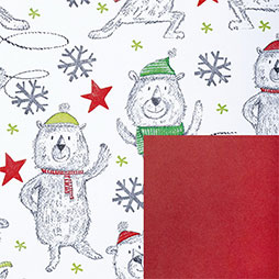 Barney, Eisbärmotiv