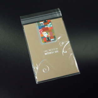 PP-KLAPPENBEUTEL MIT SK-VERSCHLUSS 95 x 130