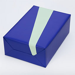 Bicolor Kornblume, Salbei