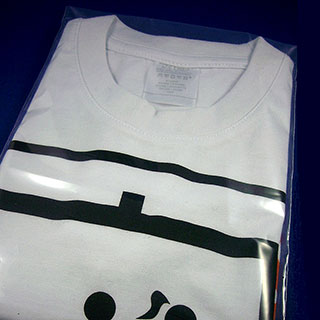 PE-FLACHBEUTEL 200 x 320 x 0,05