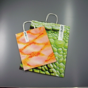 Papiertragetaschen mit Druck von Logo & Firma - Taschen mit gedrehter Papierkordel