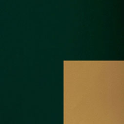 Bicolor tannengrün-gold - Kraftpapier gestrichen matt, FSC, umweltfreundlich
