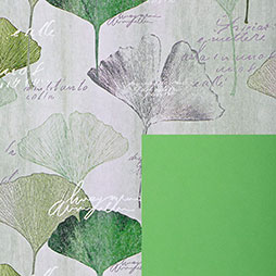 Ginkgo, Blätter - Recyclingpapier weiß, FSC, umweltfreundlich