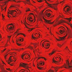 Forever - red