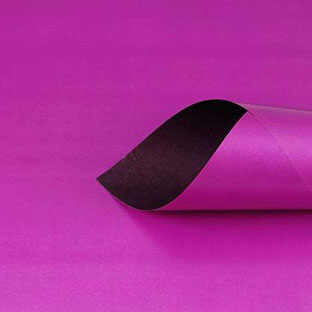 Bicolor - purple - cassis