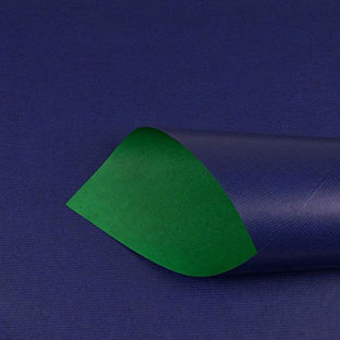 Bicolor - grün - blau