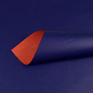 Bicolor - orangerot - blau