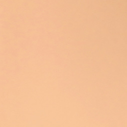 Trend Colours - pastellrosa