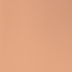 Trend Colours - zartrosa