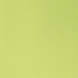 Trend Colours - kiwi grün