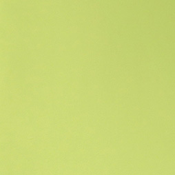 Trend Colours - kiwi grün