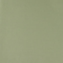 Seidenpapier BC Fein, Grüngrau - Bogen 50x75cm und 50x37cm