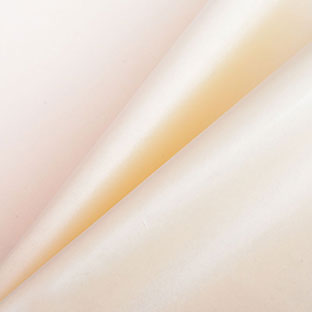 Blumenseidenpapier Basic Colours - Beige
