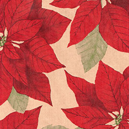 Poinsettia - rot-grün