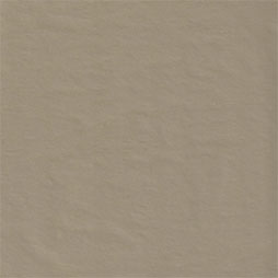 Fresh Colours - Peanut Butter