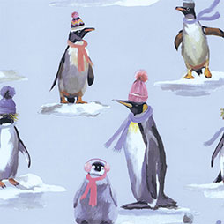 Rövik - Pinguine im Winter