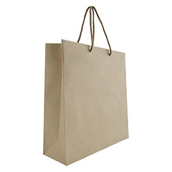 Papiertaschen Zuckerrohr Exclusiv - 220 + 100 × 280 mm + Randumschlag