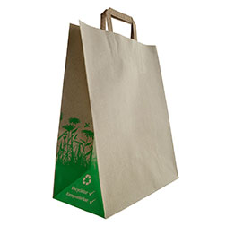 Papiertasche Gras Standard - 220 + 105 × 280 mm